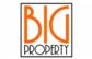 Big Property logo