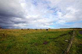Land at Broadhaven Farm, Wick, KW1 4RF